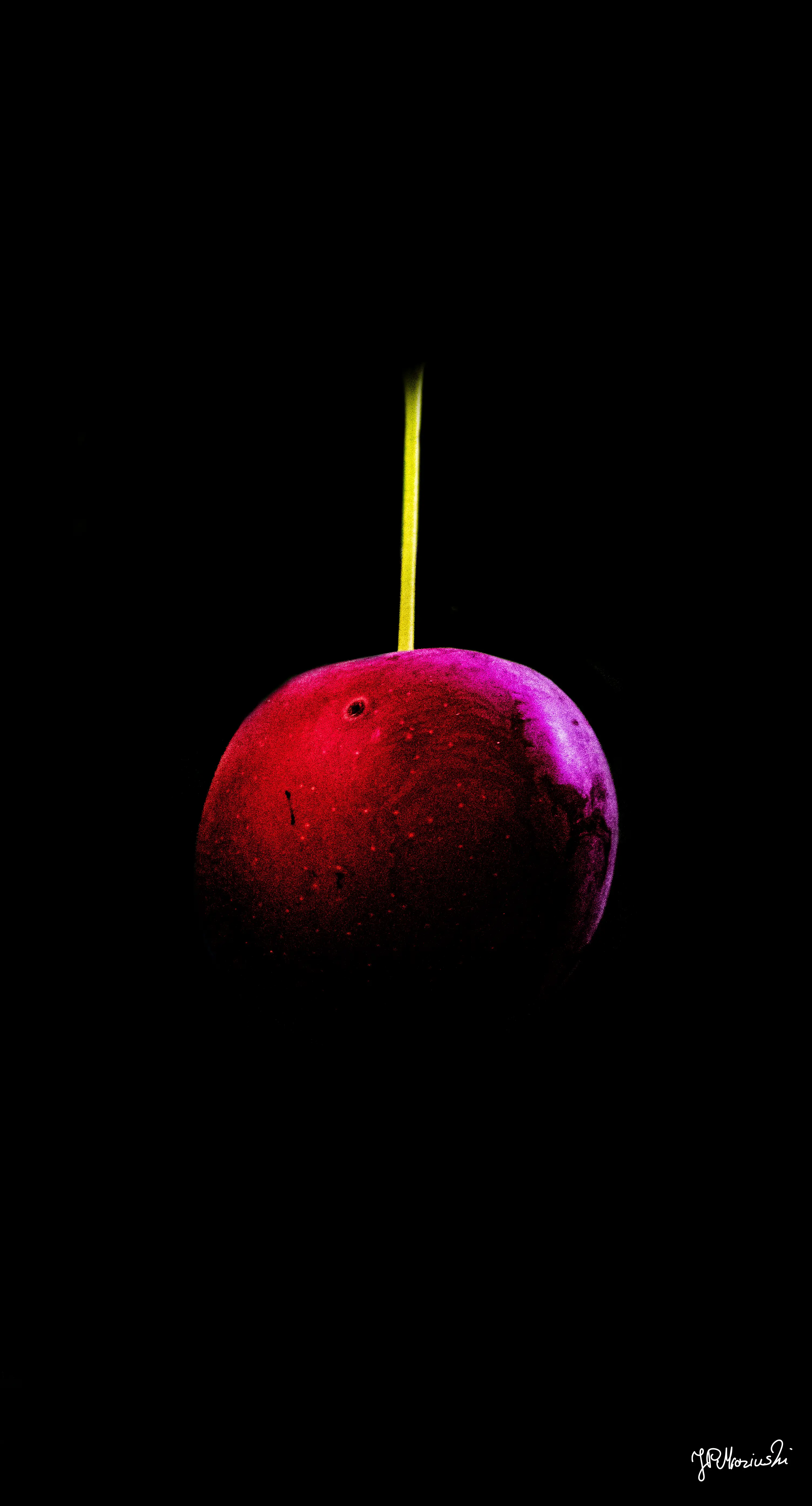 Forbidden Fruit